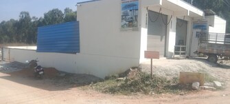 Plot For Resale in Srinivasa Nagar Bangalore  8132737