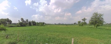  Plot For Sale in Sikandrabad
