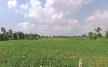 Plot For Sale in Sikandrabad