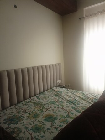 2 BHK Apartment For Rent in Bali Nagar Delhi  8132798