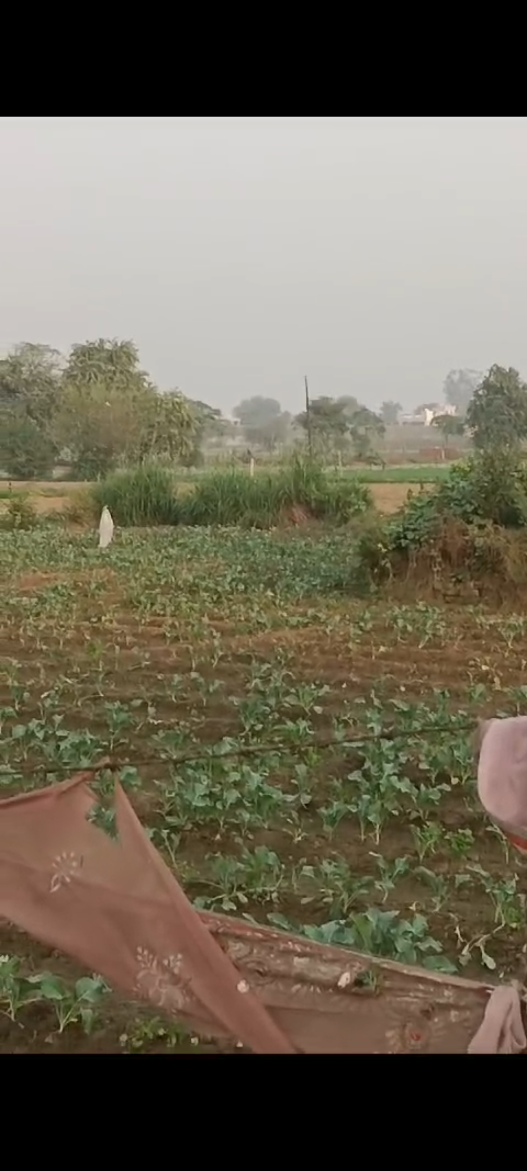 Plot For Sale in Khurja