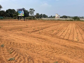 Plot For Resale in Doddaballapura Road Bangalore  8132843