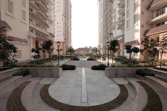 3.5 BHK Apartment For Rent in Krrish Shalimar Ibiza Town Suraj Kund Faridabad  8132893