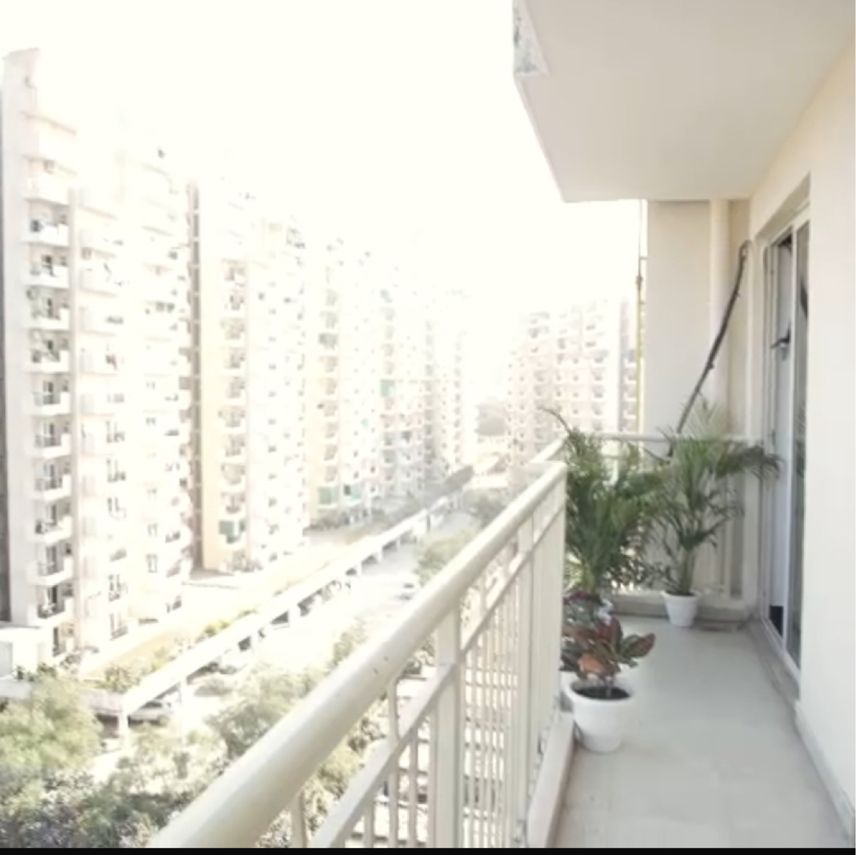 3 BHK Apartment For Sale in SS The Coralwood