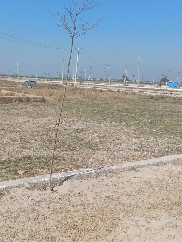 Exterior View, jewar  125 Sq.Yd. Plot In Jewar Greater Noida 8133370