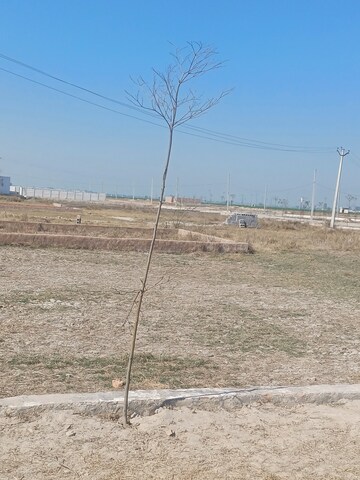  Plot – Exterior View View at Jewar - for Sale