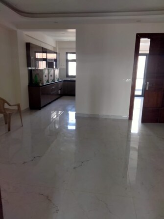 3 BHK Builder Floor For Rent in Housing Board Colony Sector 51 Sector 51 Gurgaon  8133405