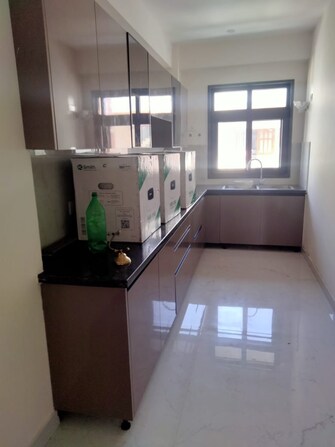 3 BHK Builder Floor For Rent in Housing Board Colony Sector 51 Sector 51 Gurgaon  8133405