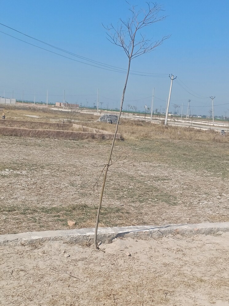 Exterior View, jewar  127 Sq.Yd. Plot In Jewar Greater Noida 8133422