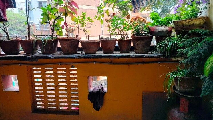 Exterior View, avani-orchid 2 Bedroom 988 Sq.Ft. Apartment In Behala Kolkata 8133613