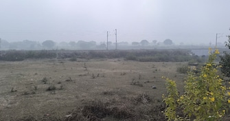 Commercial Land 19800 Sq.Ft. For Resale in Maihar Satna  8133533