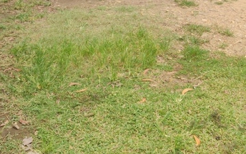 Plot For Sale in Mudavanmugal
