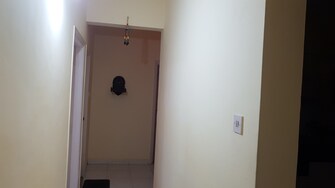 2 BHK Apartment For Rent in Ganga Hamlet Viman Nagar Pune  8133566