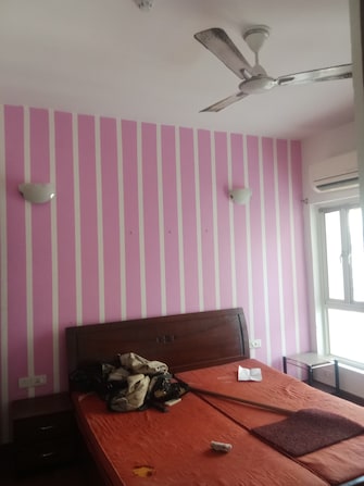 2 BHK Apartment For Rent in Gulshan Botnia Sector 144 Noida  8133948