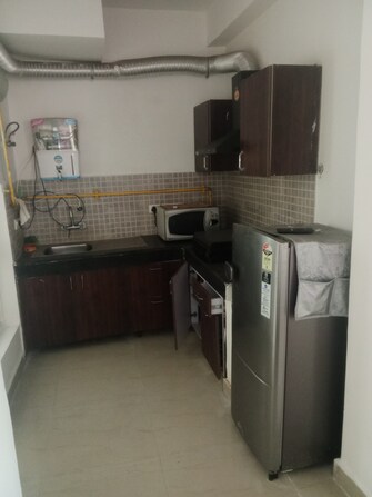 2 BHK Apartment For Rent in Gulshan Botnia Sector 144 Noida  8133948