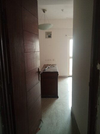 2 BHK Apartment For Rent in Gulshan Botnia Sector 144 Noida  8133948