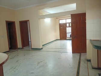 3 BHK Apartment For Rent in Sector 46 Gurgaon  8134034