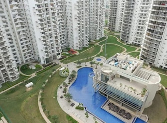 3 BHK Apartment For Resale in Emaar The Palm Drive-The Premier Terraces Sector 66 Gurgaon  8134044