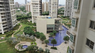 3 BHK Apartment For Resale in Emaar The Palm Drive-The Premier Terraces Sector 66 Gurgaon  8134044