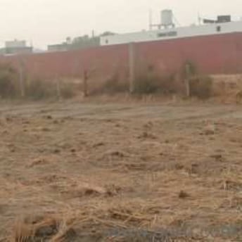 Commercial Land 250 Sq.Yd. For Resale in Ambika Nagar Kalol  8131522