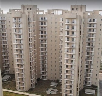 3 BHK Apartment For Rent in Shiv Sai Ozone Park Sector 86 Faridabad  8134248