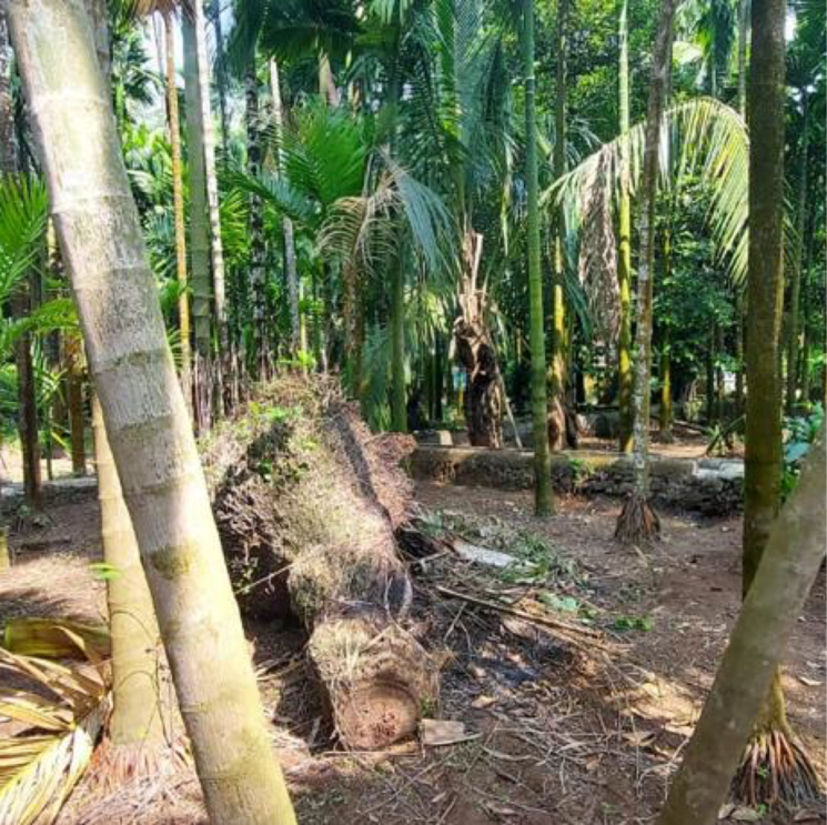 undefined, nagaon 3 Bedroom 1000 Sq.Ft. Villa In Nagaon Navi Mumbai 8134412