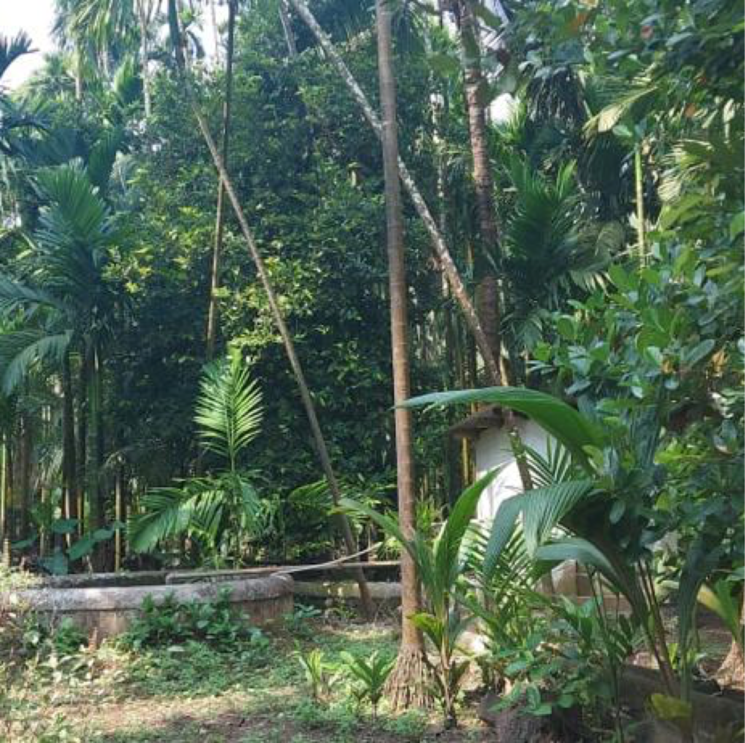 undefined, nagaon 3 Bedroom 1000 Sq.Ft. Villa In Nagaon Navi Mumbai 8134412