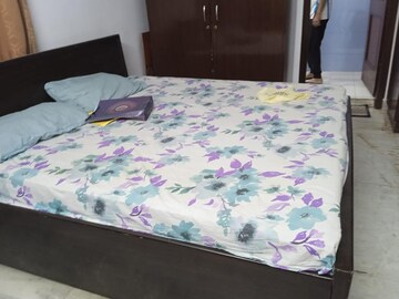 1 BHK Apartment For Rent in Vasundhara Sector 1