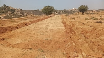 Plot For Resale in Vikarabad Hyderabad  8134590