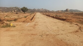 Plot For Resale in Vikarabad Hyderabad  8134590