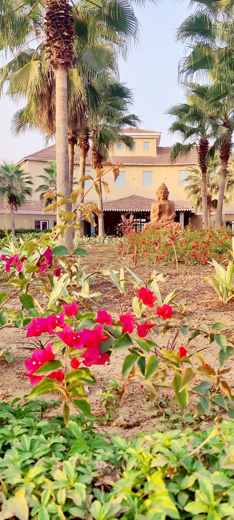 Garden, dhamtari road  1953 Sq.Ft. Plot In Dhamtari Road Raipur 8134628