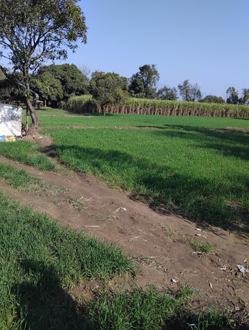  Plot – Exterior View View at Badripur - for Sale
