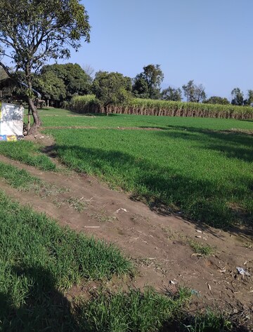  Plot For Sale in Badripur