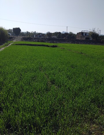  Plot – Exterior View View at Badripur - for Sale