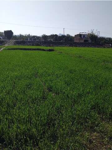 Plot Area in  Plot at Badripur – for Sale