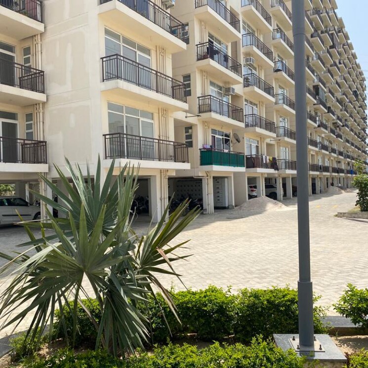 Exterior View, avl-36-gurgaon 2 Bedroom 606 Sq.Ft. Apartment In Sector 36a Gurgaon 8134857