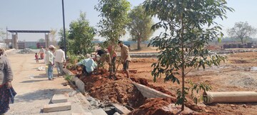 Plot Area in  Plot at Shamshabad – for Sale
