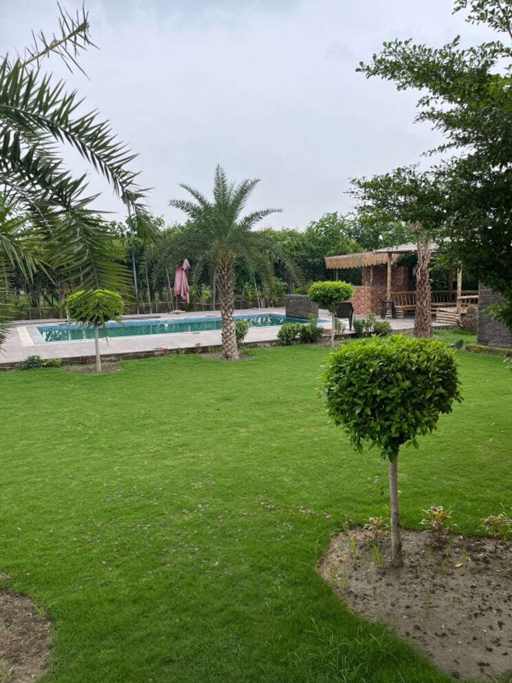 Garden, sector 123  150 Sq.Yd. Plot In Sector 123 Noida 8134938