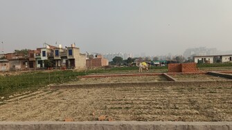 Plot For Resale in Parthala Khanjarpur Noida  8135058