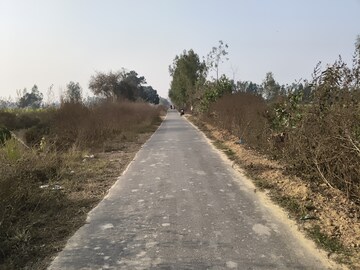 Plot Area in  Land at Nawabganj – for Sale