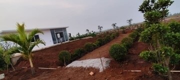 Plot Area in  Plot at Digwal – for Sale