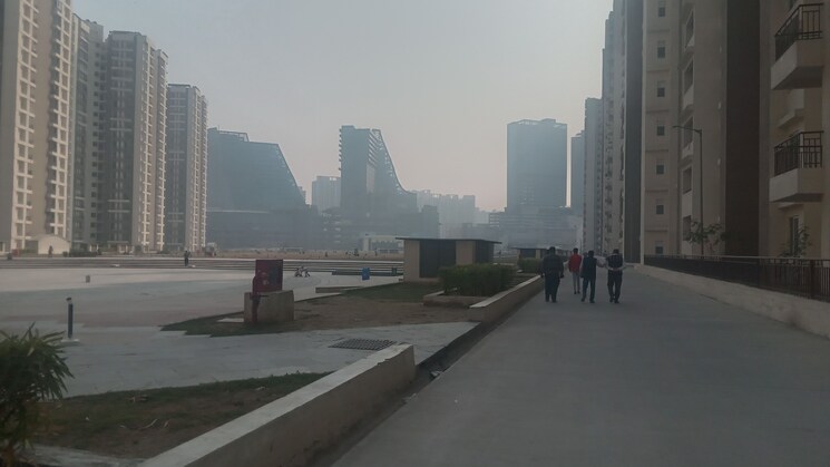 Swimming Pool, amrapali-kingswood 2 Bedroom 835 Sq.Ft. Apartment In Sector 4, Greater Noida Greater Noida 8135405