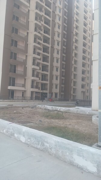 2 BHK Apartment For Resale in Amrapali Kingswood Sector 4, Greater Noida Greater Noida  8135405