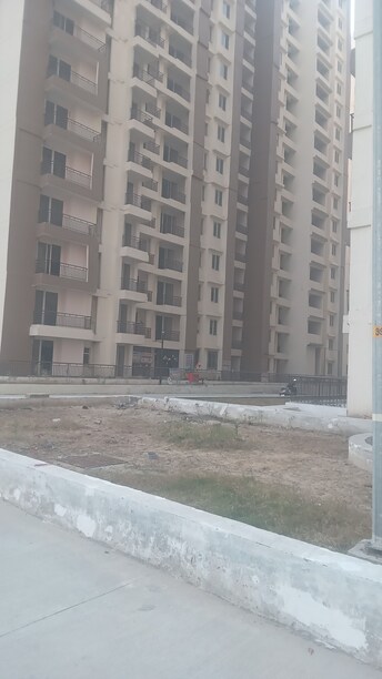 3 BHK Apartment For Resale in Amrapali Kingswood Sector 4, Greater Noida Greater Noida  8135418