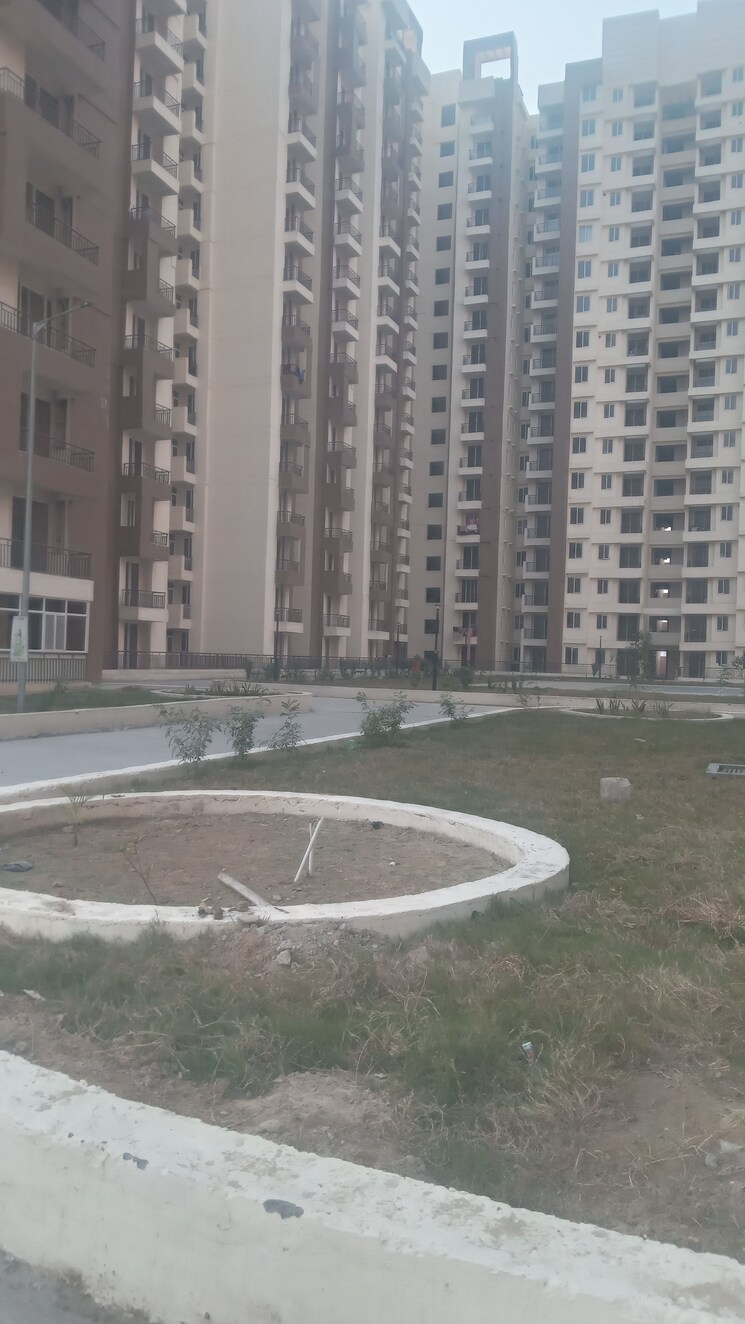 Exterior View, amrapali-kingswood 3 Bedroom 1115 Sq.Ft. Apartment In Sector 4 Greater Noida Greater Noida 8135418