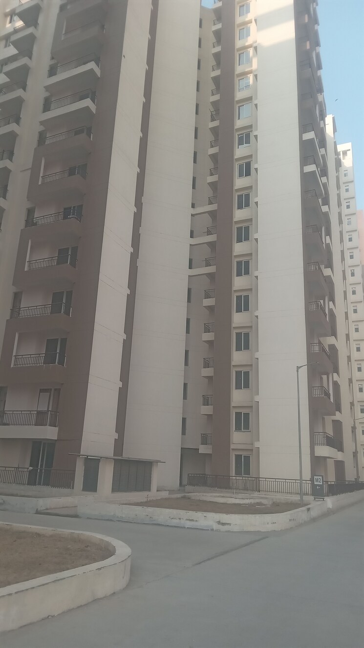 Exterior View, amrapali-kingswood 3 Bedroom 1115 Sq.Ft. Apartment In Sector 4 Greater Noida Greater Noida 8135418