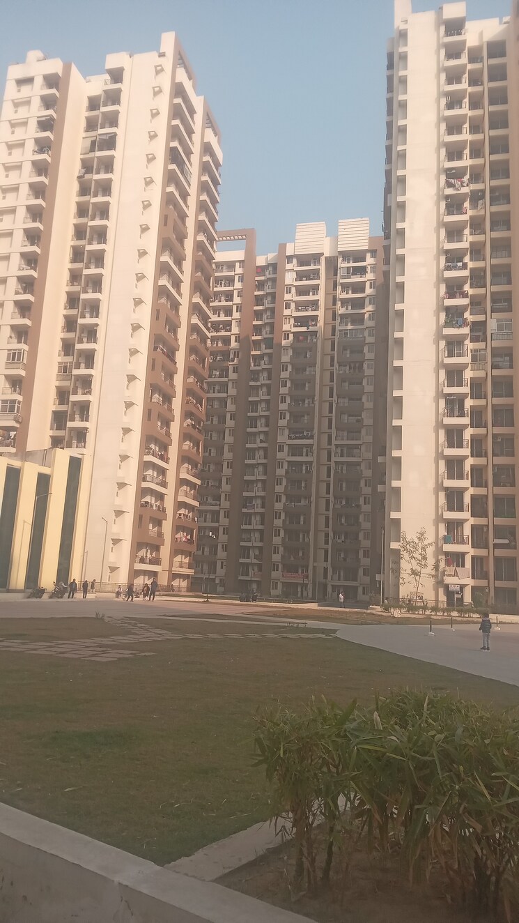 Exterior View, amrapali-kingswood 3 Bedroom 1115 Sq.Ft. Apartment In Sector 4 Greater Noida Greater Noida 8135418
