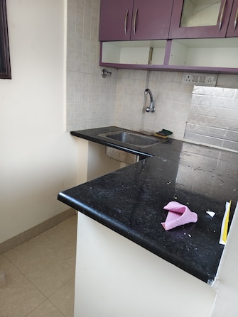 1 BHK Builder Floor For Rent in Halasuru Bangalore  8135438