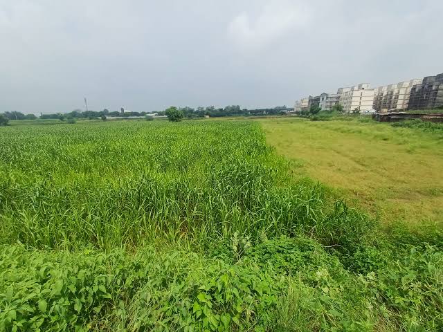 Plot For Sale in Anoopshahr