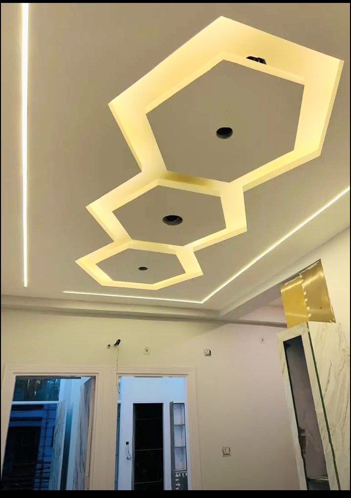 2 BHK + Pooja Room Builder Floor For Sale in Malviya Nagar